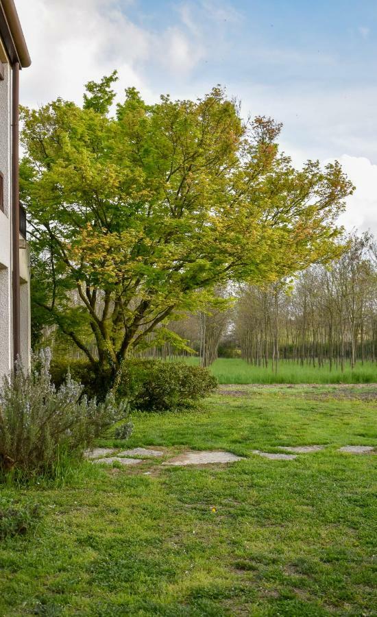 Bed & Breakfast Elisa